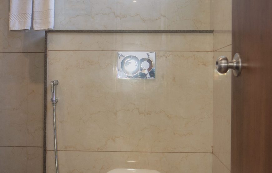 King Studio with Sofa Bed